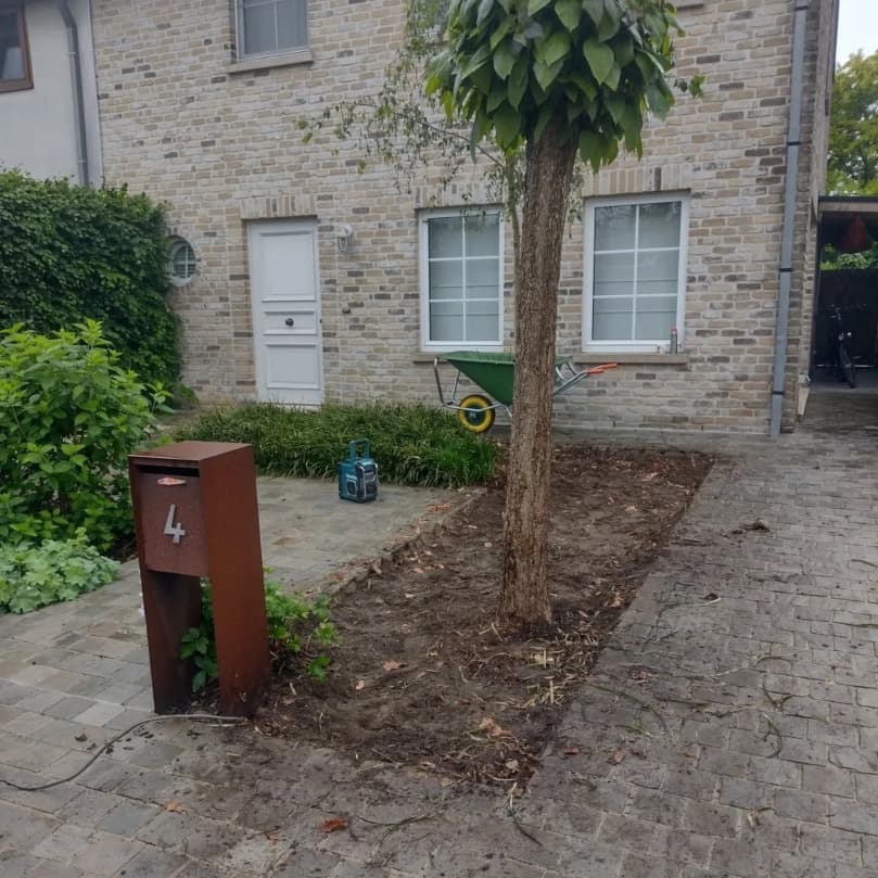 Voortuin met jonge boom en voorbereid plantvak