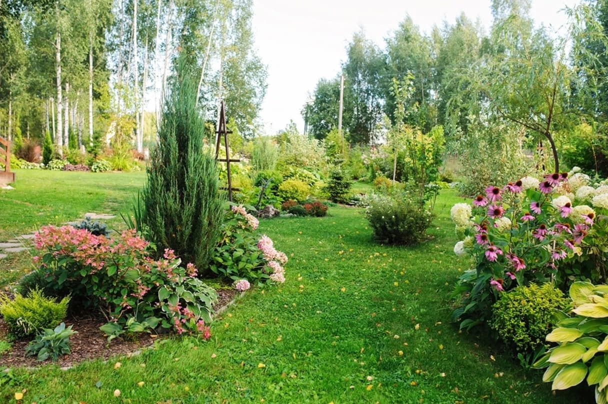 Verzorgde tuin met gazon en bomen