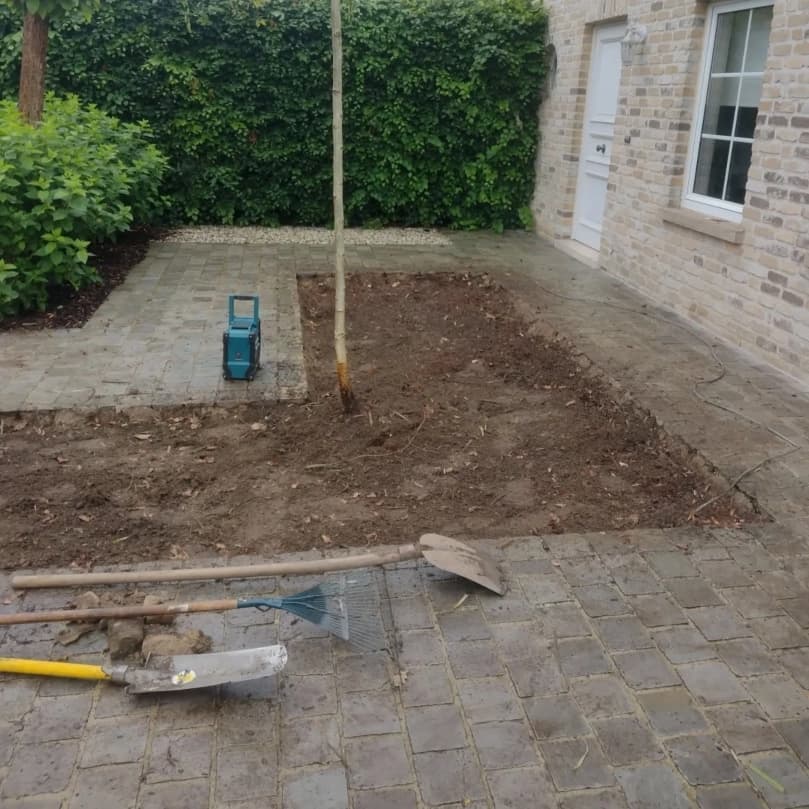 Plantvak met jonge boom, voorbereid naast een terras